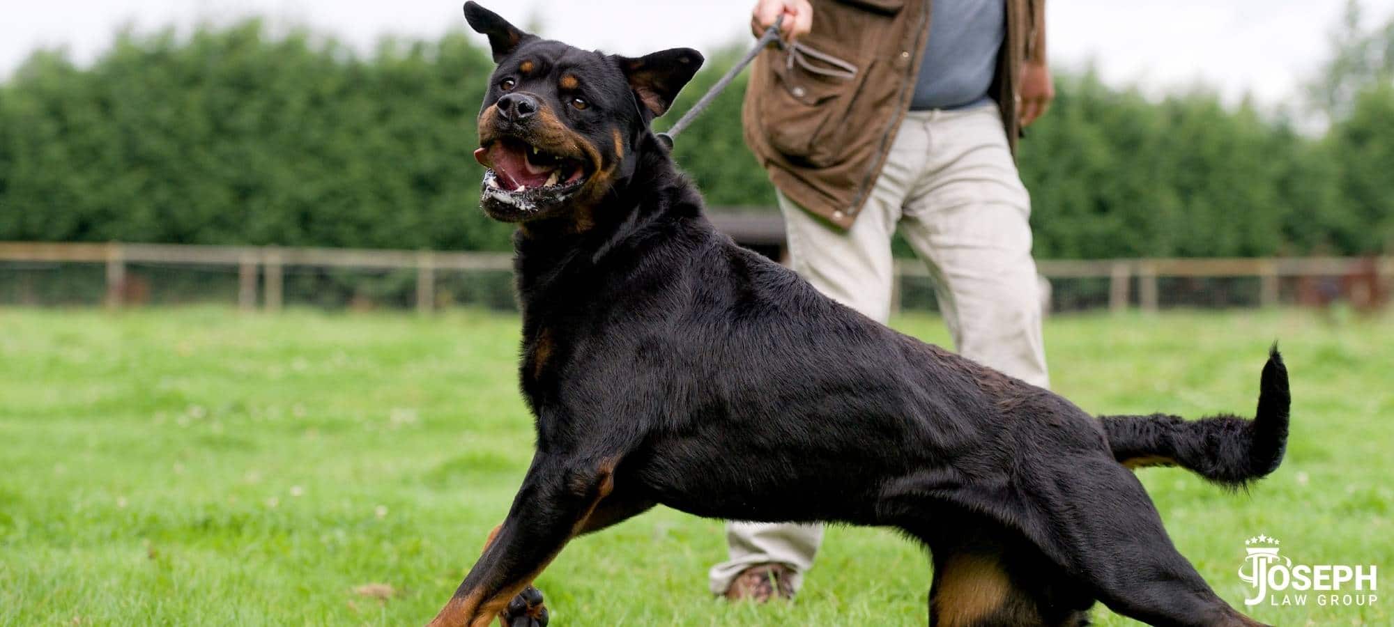 cleveland dog bite injury lawyers